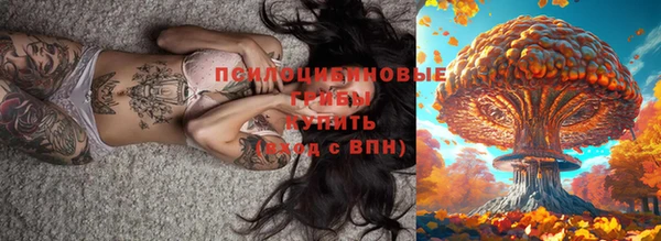 прущие крисы Балахна