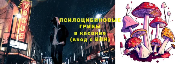 шишки Баксан