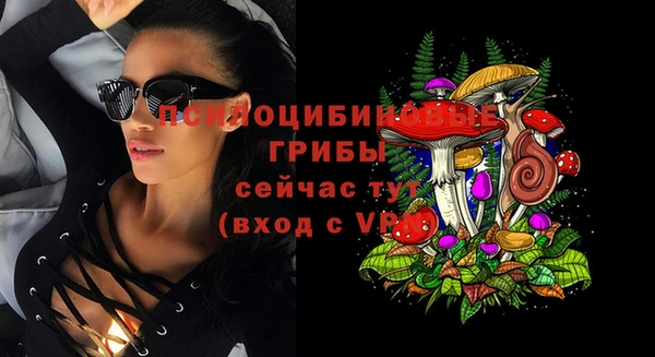 соль курить ск Аркадак