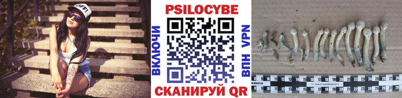 Галлюциногенные грибы мицелий Спас-Деменск
