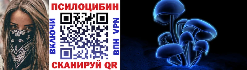 Псилоцибиновые грибы Psilocybe наркота Спас-Деменск